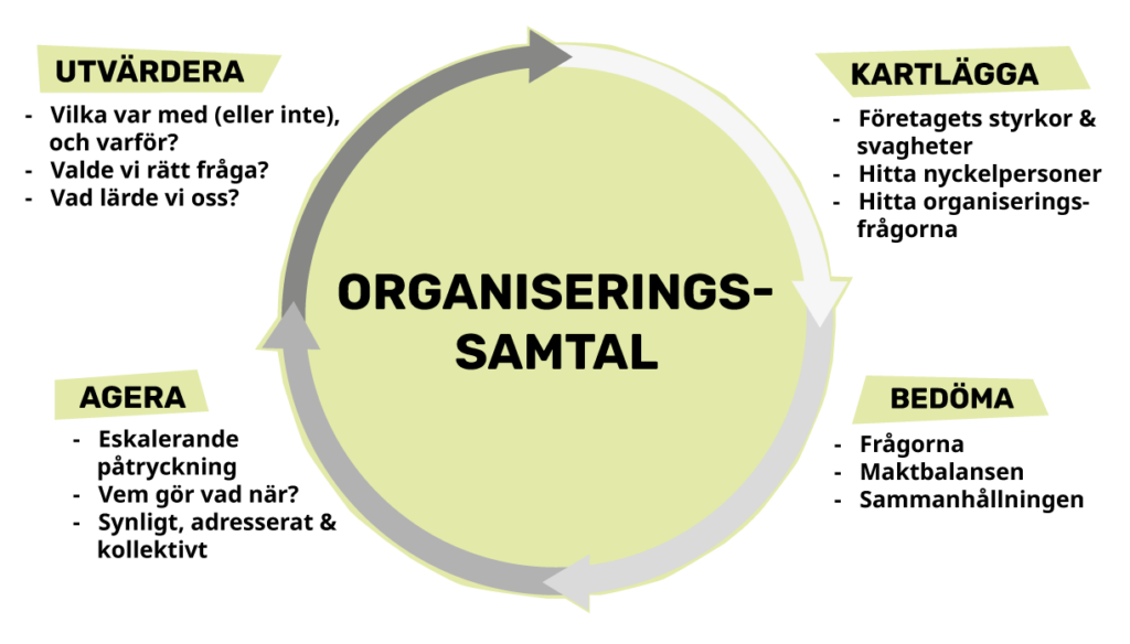 Organiseringhjulet. Facklig organisering på arbetsplatsen kan gå genom ett hjul i fyra faser.